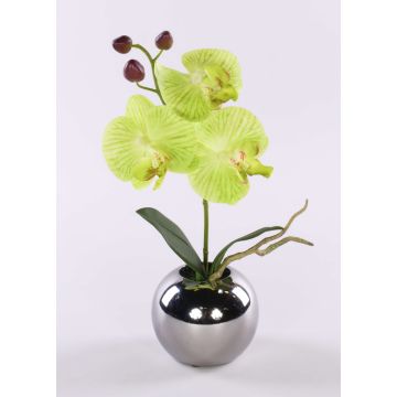 Konstblomma, orkidé Phalaenopsis NAPIRAI, kruka, krämgrön, 30cm Konstblomma, orkidé Phalaenopsis NAPIRAI, kruka, krämgrön, 30cm
