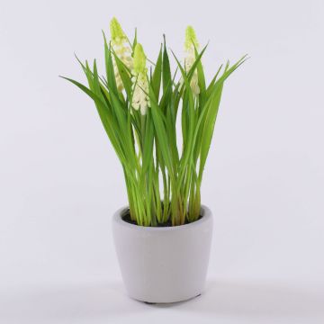 Konstgjord blomma, druvhyacint NARMADA i cementkruka, vit, 20cm