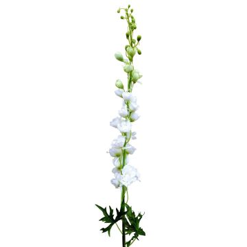 Konstgjord blomma, riddarsporre RADUNIA, krämvit, 110cm, Ø2,5-7cm Konstgjord blomma, riddarsporre RADUNIA, krämvit, 110cm, Ø2,5-7cm