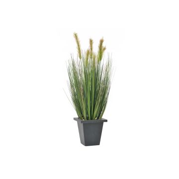 Konstgjort rävsvansgräs TAMINO, ax, dekorativ kruka, grönt, 60cm Konstgjort rävsvansgräs TAMINO, ax, dekorativ kruka, grönt, 60cm