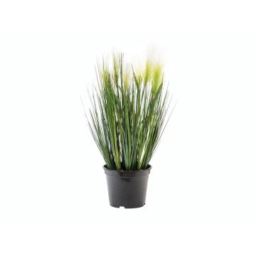 Konstgjort fjädergräs TIMEA med ax, grönt, 60cm