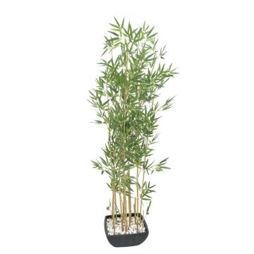 Konstgjord bambu YUKIKO, konstgjorda stammar, i dekorativ skål, 150cm