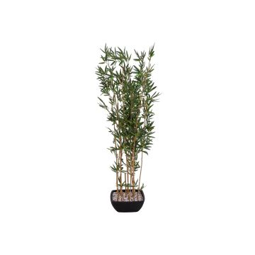 Konstgjord bambu YUKIKO, konstgjorda stammar, i dekorativ skål, 150cm Konstgjord bambu YUKIKO, konstgjorda stammar, i dekorativ skål, 150cm
