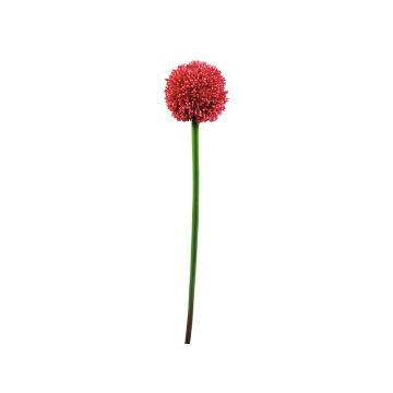 Konstgjord prydnadslök BEATRISA, röd, 65cm, Ø10cm Konstgjord prydnadslök BEATRISA, röd, 65cm, Ø10cm