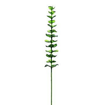 Eukalyptuskvist i plast GLAUCO i glaslook, 12 stycken, grön, 80cm