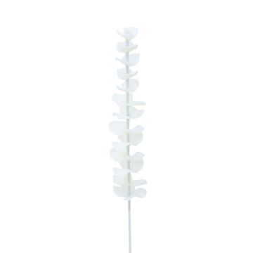 Eukalyptuskvist i plast GLAUCO med glasliknande utseende, 12 st, vit, 80cm Eukalyptuskvist i plast GLAUCO med glasliknande utseende, 12 st, vit, 80cm