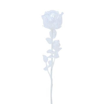 Plastros EVARISTO i glaslook, 12 stycken, transparent, 80cm Plastros EVARISTO i glaslook, 12 stycken, transparent, 80cm