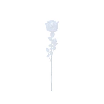 Plastros EVARISTO i glaslook, 12 stycken, transparent, 80cm Plastros EVARISTO i glaslook, 12 stycken, transparent, 80cm