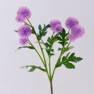 Konstgjord blomkvist, kuldistel TRAUDLINDE, lila, 55cm, Ø3-4cm Konstgjord blomkvist, kuldistel TRAUDLINDE, lila, 55cm, Ø3-4cm