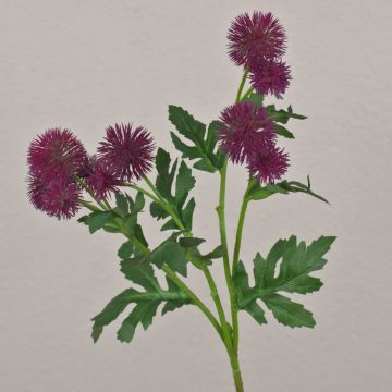 Konstgjord blomkvist, kuldistel TRAUDLINDE, violett, 55cm, Ø3-4cm Konstgjord blomkvist, kuldistel TRAUDLINDE, violett, 55cm, Ø3-4cm