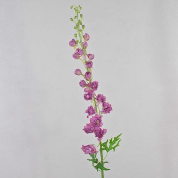 Konstgjord blomma riddarsporre RADUNIA, lila, 110cm, Ø2,5-7cm Konstgjord blomma riddarsporre RADUNIA, lila, 110cm, Ø2,5-7cm