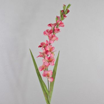 Konstgjord blomma gladiolus THEOPHORA, cerise-grön, 110cm, Ø6-10cm Konstgjord blomma gladiolus THEOPHORA, cerise-grön, 110cm, Ø6-10cm