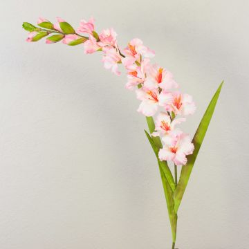 Konstgjord blomma gladiolus THEOPHORA, rosa-krämfärgad, 110cm, Ø6-10cm Konstgjord blomma gladiolus THEOPHORA, rosa-krämfärgad, 110cm, Ø6-10cm