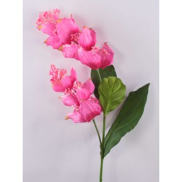 Konstgjord blomkvist Medinilla LASENTER, rosa, 110cm Konstgjord blomkvist Medinilla LASENTER, rosa, 110cm