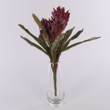 Konstgjord Guzmania-bromelia WALFRIEDE på stödpinne, vinröd, 50cm Konstgjord Guzmania-bromelia WALFRIEDE på stödpinne, vinröd, 50cm