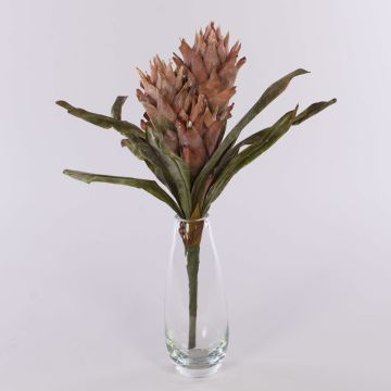 Konstgjord Guzmania-bromelia WALFRIEDE på stödpinne, gammaldagsrosa, antikrosa, 50cm Konstgjord Guzmania-bromelia WALFRIEDE på stödpinne, gammaldagsrosa, antikrosa, 50cm