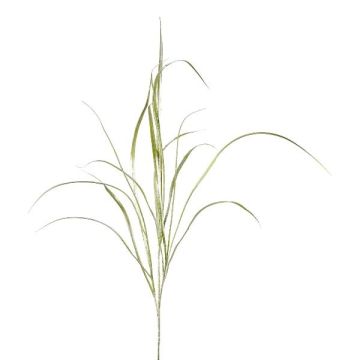 Dekorativ kvist vass TROVAL, grön-silver, 105cm