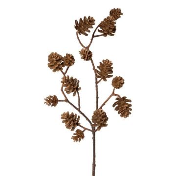 Dekorativ gren av gran KREMLA med kottar, brun, 50cm Dekorativ gren av gran KREMLA med kottar, brun, 50cm