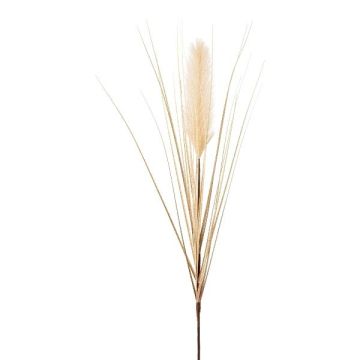 Konstgjort pampasgräs, ax WALNIN, beige, 100cm Konstgjort pampasgräs, ax WALNIN, beige, 100cm