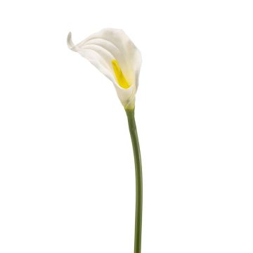 Konstgjord calla TEMBANA, vit, 65cm Konstgjord calla TEMBANA, vit, 65cm