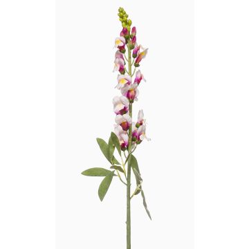 Konstgjord blomma lejonmun LIMORG, krämrosa, krämfärgad-cerise, 80cm Konstgjord blomma lejonmun LIMORG, krämrosa, krämfärgad-cerise, 80cm