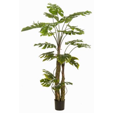 Konstväxt Philodendron monstera deliciosa KORVEX, luftrötter, 180cm Konstväxt Philodendron monstera deliciosa KORVEX, luftrötter, 180cm
