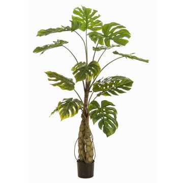 Konstväxt Philodendron monstera deliciosa KORVEX, luftrötter, 150cm Konstväxt Philodendron monstera deliciosa KORVEX, luftrötter, 150cm