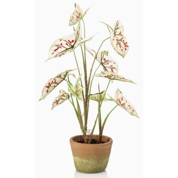 Konstväxt Syngonium YOMREL i terrakottakruka, krämröd, 60cm Konstväxt Syngonium YOMREL i terrakottakruka, krämröd, 60cm