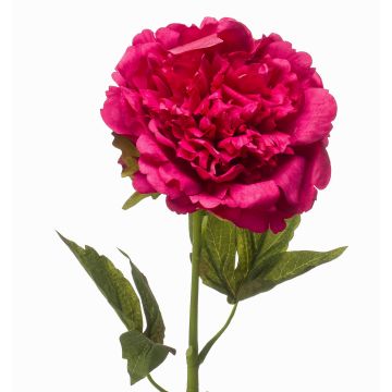 Konstgjord pion GAVRON, cerise, 55cm