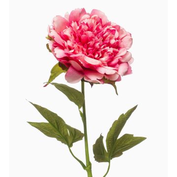 Konstgjord pion GAVRON, rosa, 55cm Konstgjord pion GAVRON, rosa, 55cm