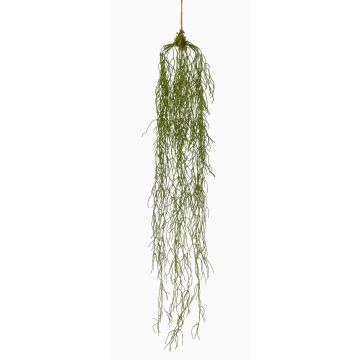 Konstväxt, suckulent Rhipsalis, hängande TAMON, grön, 90cm
