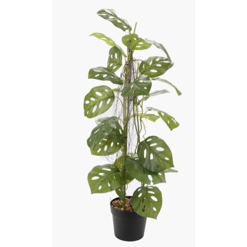 Konstväxt Philodendron monstera adansonii BRINOL, dekorativ kruka, luftrötter, 80cm Konstväxt Philodendron monstera adansonii BRINOL, dekorativ kruka, luftrötter, 80cm