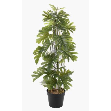 Konstväxt Philodendron selloum BRINOL, dekorativ kruka, luftrötter, 80cm Konstväxt Philodendron selloum BRINOL, dekorativ kruka, luftrötter, 80cm