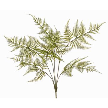 Konstväxt svärdfarn MELFIR, på stödpinne, crossdoor, grön, 65cm Konstväxt svärdfarn MELFIR, på stödpinne, crossdoor, grön, 65cm