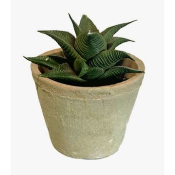 Konstgjord suckulent Haworthia limifolia GLOFER i terrakottakruka, mörkgrön, 13cm