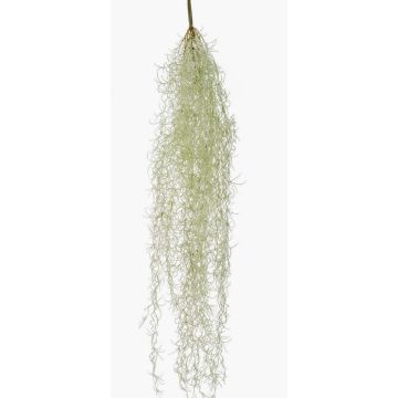 Konstgjord suckulent Tillandsia usneoides BRAVIK, på pinne, svårantändlig, grå, 85cm Konstgjord suckulent Tillandsia usneoides BRAVIK, på pinne, svårantändlig, grå, 85cm