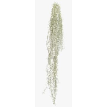 Konstgjord suckulent Tillandsia usneoides BRAVIK, på pinne, svårantändlig, grå, 150cm Konstgjord suckulent Tillandsia usneoides BRAVIK, på pinne, svårantändlig, grå, 150cm