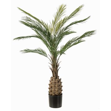 Konstgjord palm, dadelpalm ZOLTAR, crossdoor, 150cm