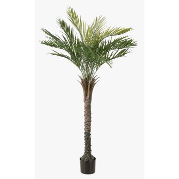 Konstgjord palm, dadelpalm ZOLTER, crossdoor, 150cm