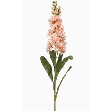 Konstgjord blomma Levkoje DIHALLA, persika, 80cm Konstgjord blomma Levkoje DIHALLA, persika, 80cm