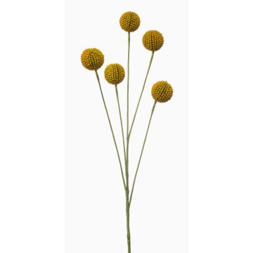 Konstgjord blomma craspedia AMELDA, gul, 70cm Konstgjord blomma craspedia AMELDA, gul, 70cm