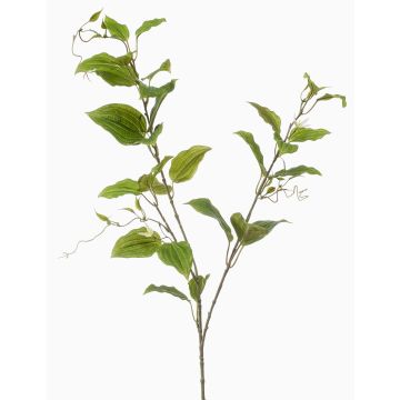 Dekorativ kvist av klematis VLORIX, grön-krämfärgad, 105cm Dekorativ kvist av klematis VLORIX, grön-krämfärgad, 105cm