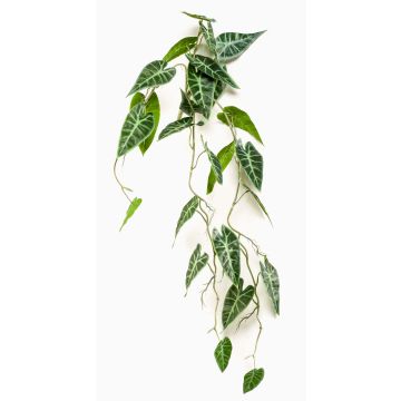 Konstväxt Alocasia sanderiana EXEVLO på stödpinne, hängande, grön, 80cm Konstväxt Alocasia sanderiana EXEVLO på stödpinne, hängande, grön, 80cm