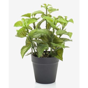 Konstgjorda köksörter, mynta WHOOPI i dekorativ kruka, grön, 23cm