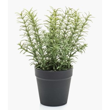 Konstgjorda köksörter, rosmarin WHOOPI i dekorativ kruka, grön, 22cm
