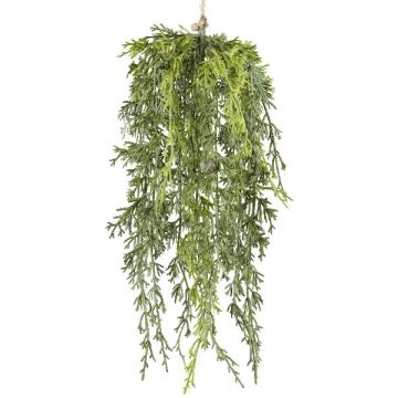 Konstgjord cypress ALYNA, frukter, hängande, grön, 40cm