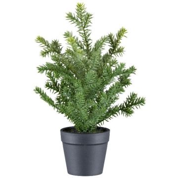 Konstgjord växt, idegran KRUHER, dekorativ kruka, grön, 28cm Konstgjord växt, idegran KRUHER, dekorativ kruka, grön, 28cm