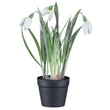 Dekorationsblomma snödropp WASFA i dekorationskruka, snötäckt, vit, 20cm Dekorationsblomma snödropp WASFA i dekorationskruka, snötäckt, vit, 20cm