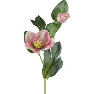 Konstgjord blomma julros DENDY, rosa-grön, 35cm Konstgjord blomma julros DENDY, rosa-grön, 35cm
