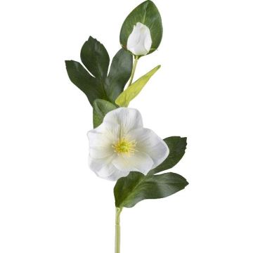 Konstgjord blomma julros DENDY, vit, 35cm Konstgjord blomma julros DENDY, vit, 35cm